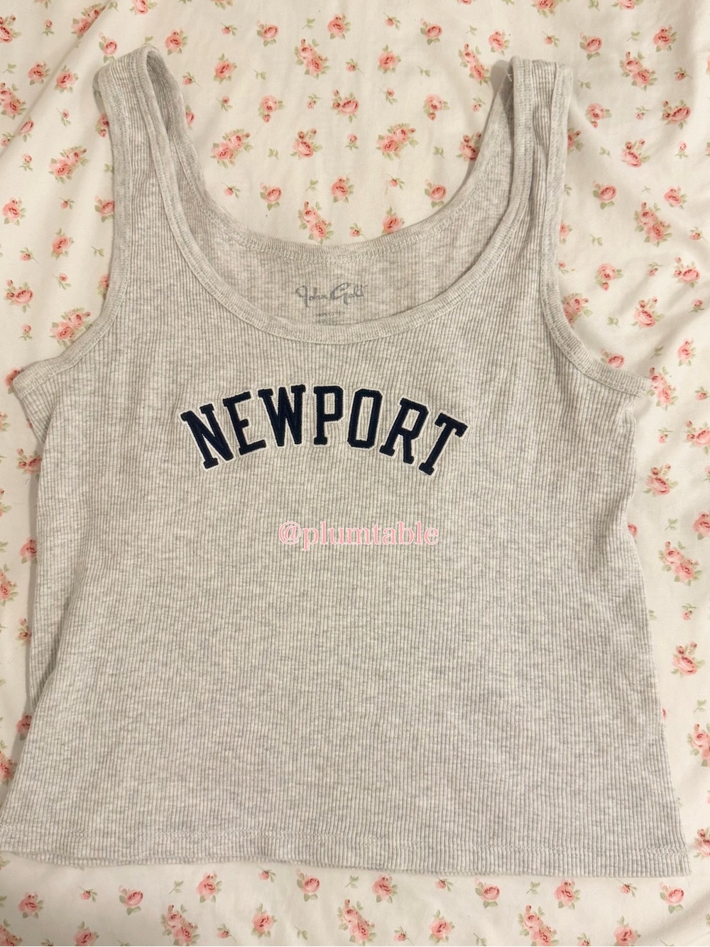 Brandy Melville Gray 'NEWPORT' Ribbed Tank Top